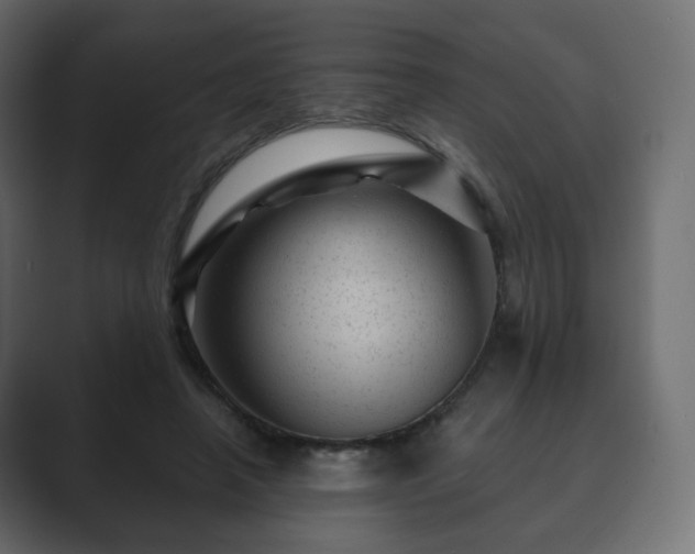 X0000089700450200706281457