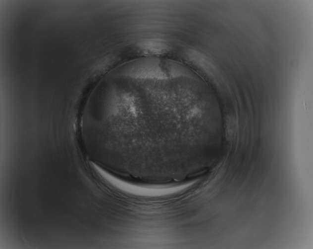 X0000089700451200706281457