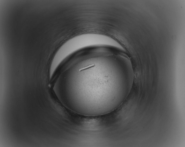 X0000089700454200706281457