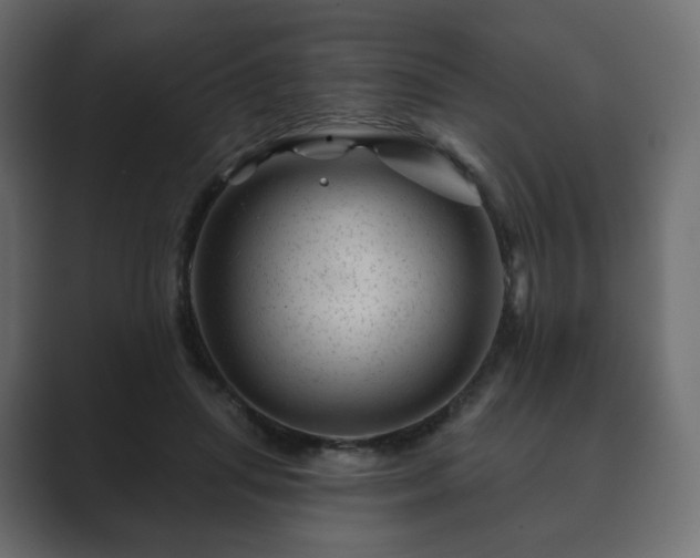 X0000089700455200706281457