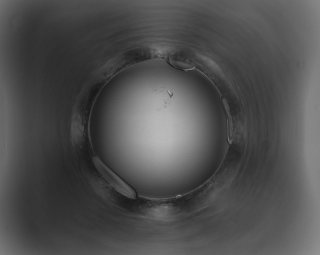 X0000089700456200706281457