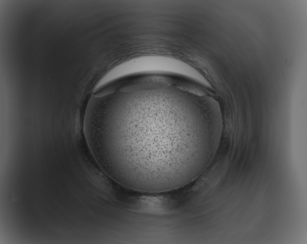 X0000089700457200706281457