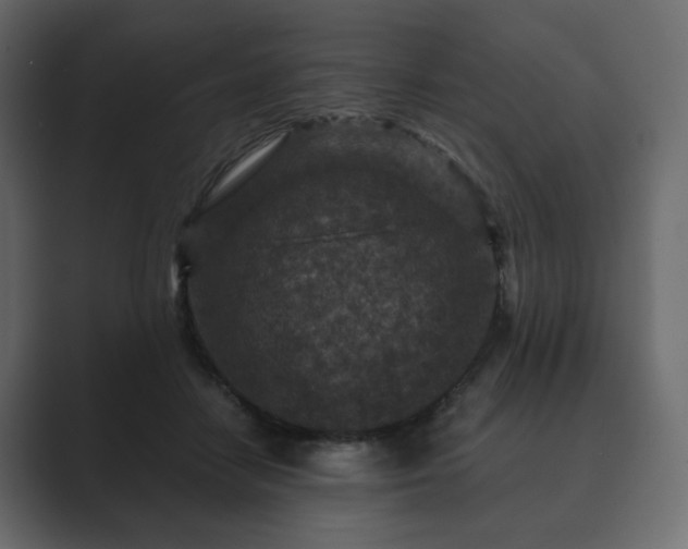 X0000089700458200706281457