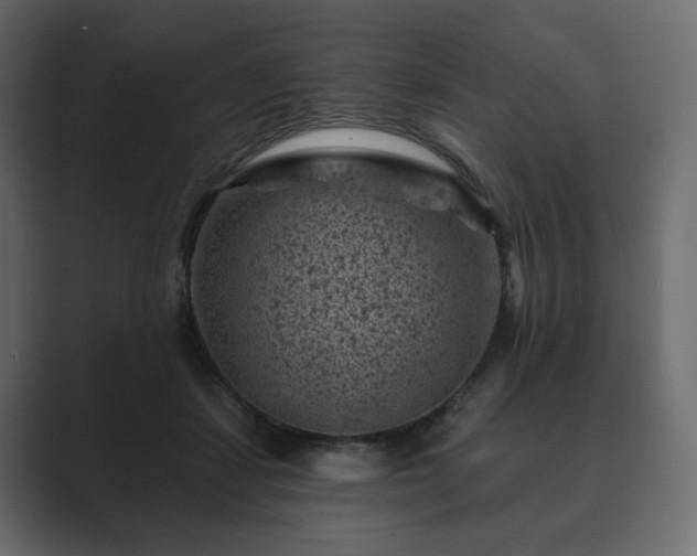 X0000089700459200706281457