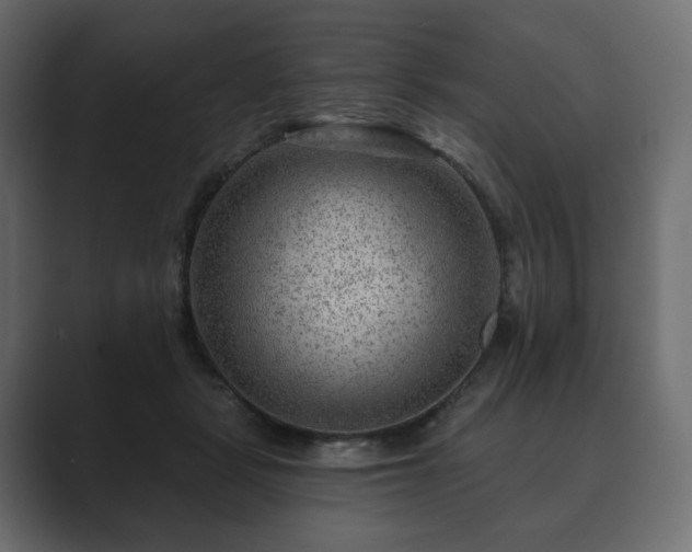 X0000089700461200706281457