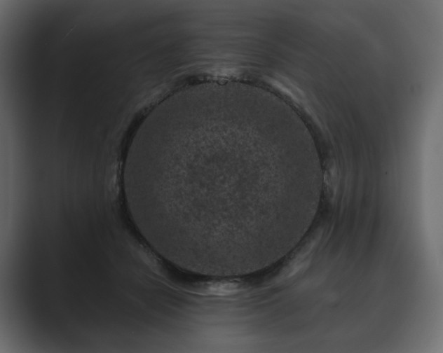 X0000089700462200706281457