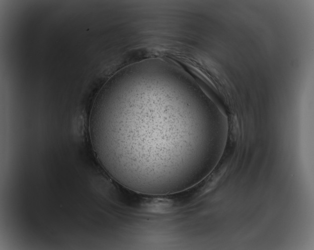 X0000089700463200706281457