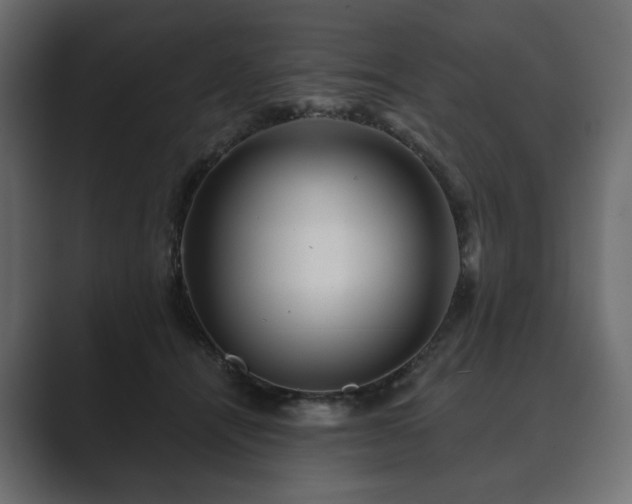 X0000089700464200706281458