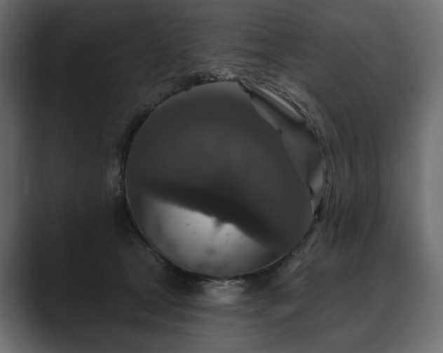 X0000089700465200706281458