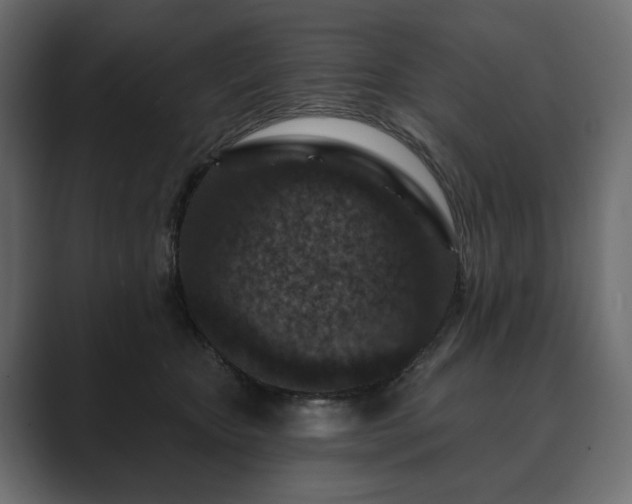 X0000089700467200706281458