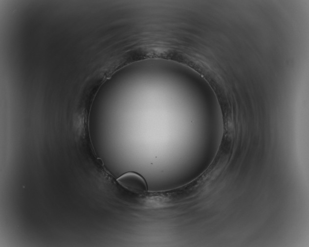 X0000089700468200706281458