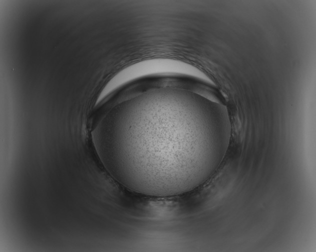 X0000089700470200706281458