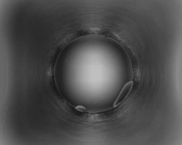 X0000089700472200706281458