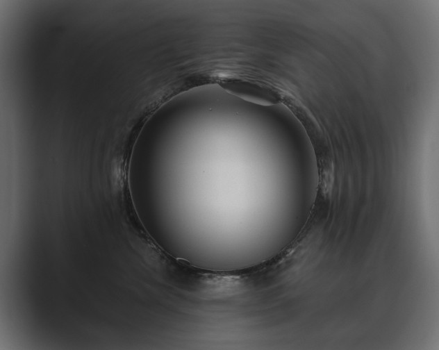 X0000089700476200706281458