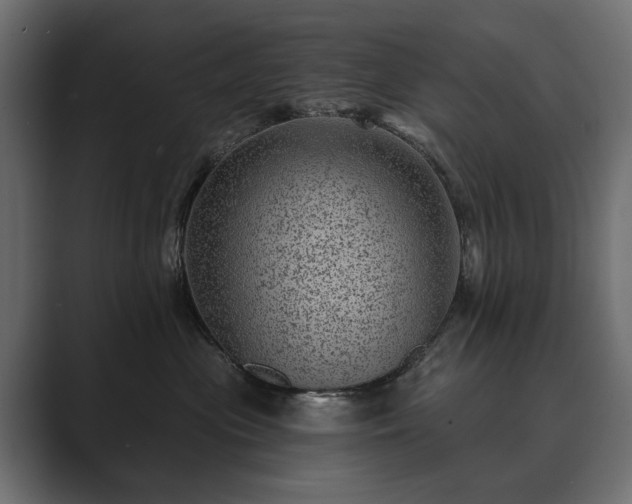 X0000089700477200706281458