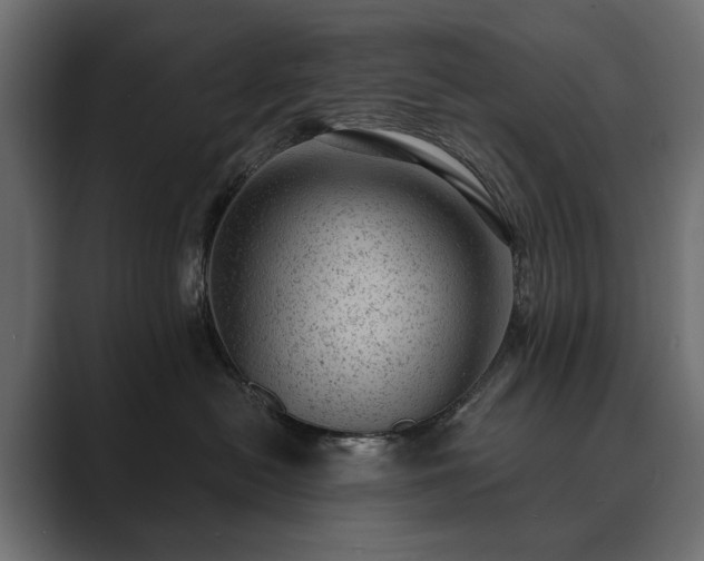 X0000089700478200706281458