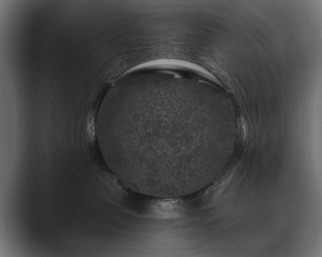 X0000089700479200706281458