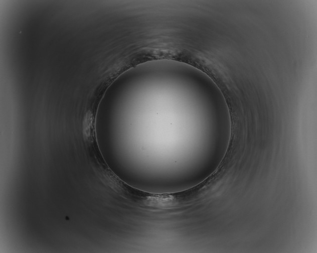 X0000089700480200706281458