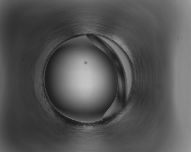 X0000089700481200706281457