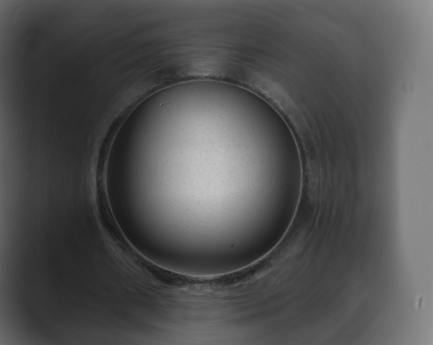 X0000089700482200706281457