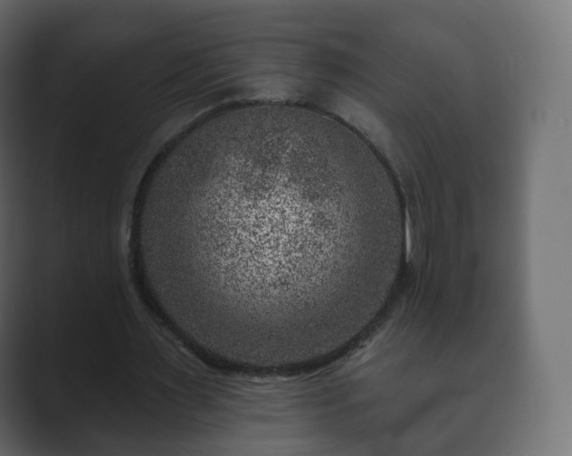 X0000089700483200706281457