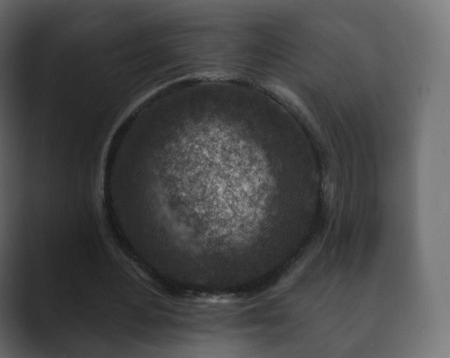 X0000089700484200706281457