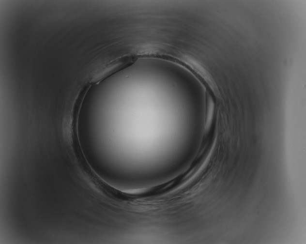 X0000089700485200706281457