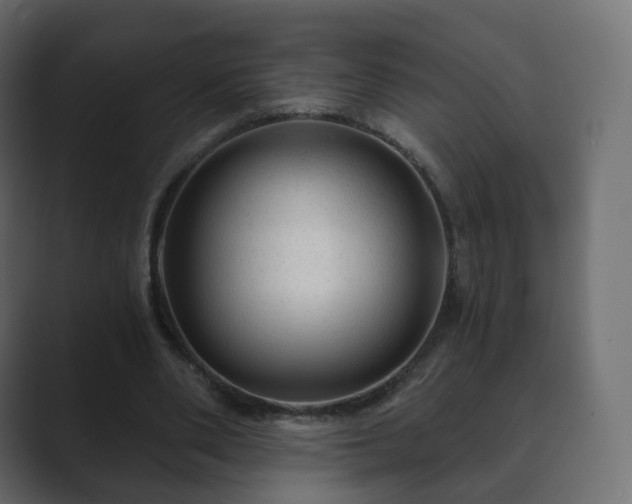 X0000089700486200706281457