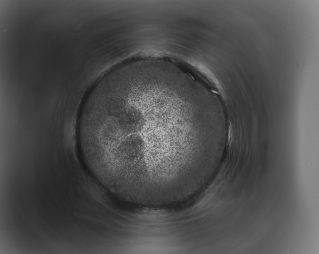 X0000089700487200706281457