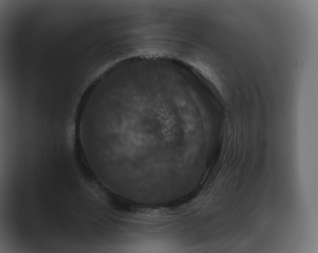 X0000089700488200706281457