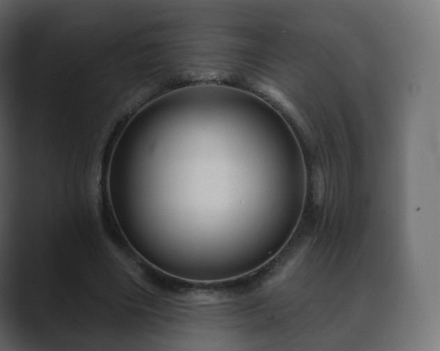 X0000089700490200706281457