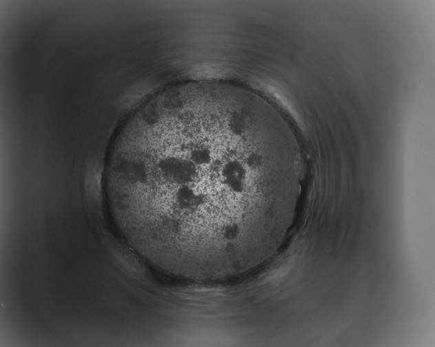 X0000089700491200706281457