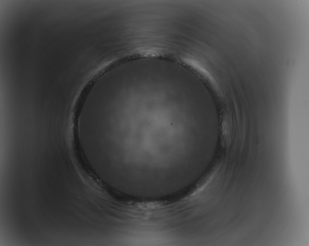 X0000089700492200706281457