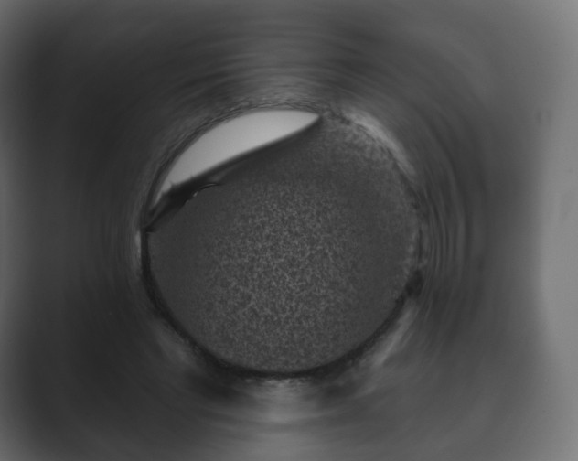 X0000089700493200706281457