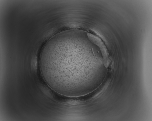 X0000089700494200706281457