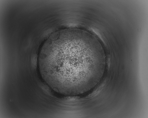 X0000089700495200706281457