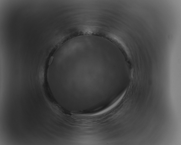 X0000089700496200706281457