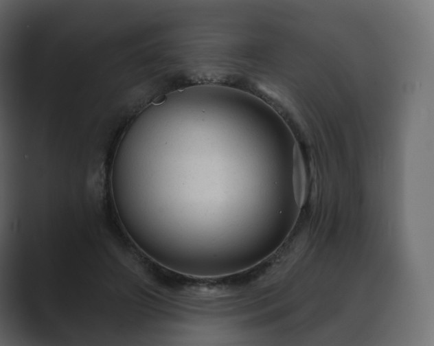 X0000089700498200706281457