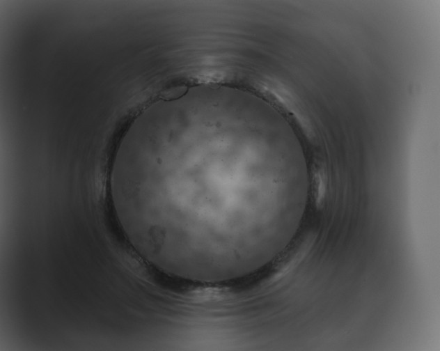 X0000089700499200706281457