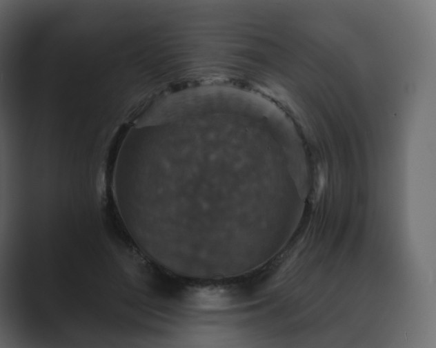 X0000089700500200706281457