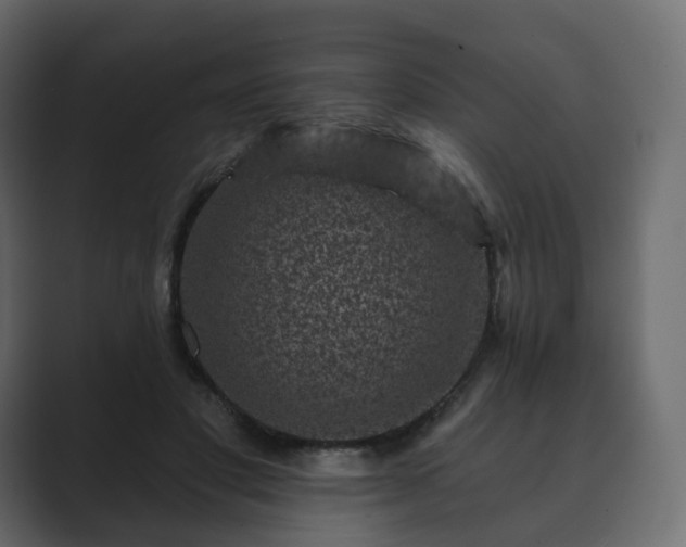 X0000089700501200706281457