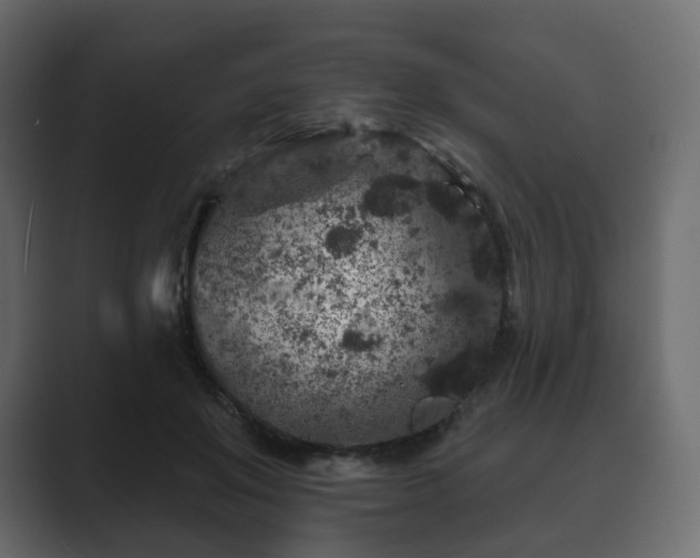 X0000089700503200706281457