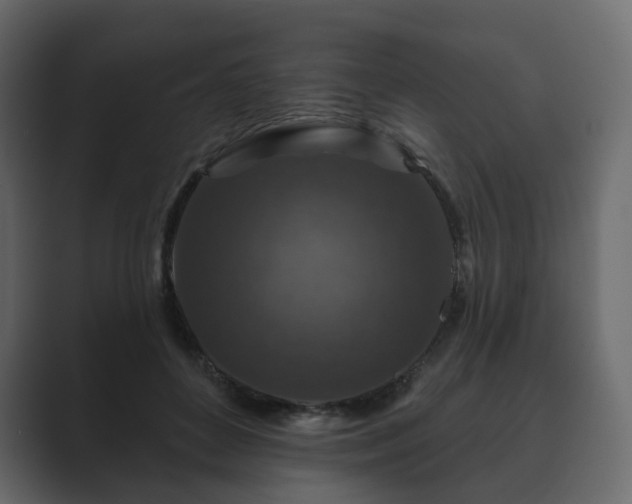 X0000089700504200706281457