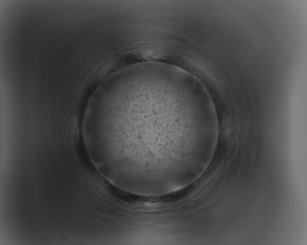 X0000089700506200706281457