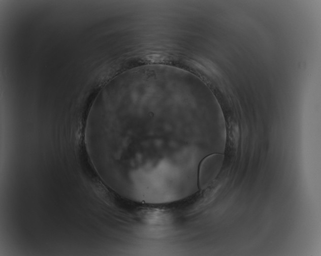 X0000089700507200706281457