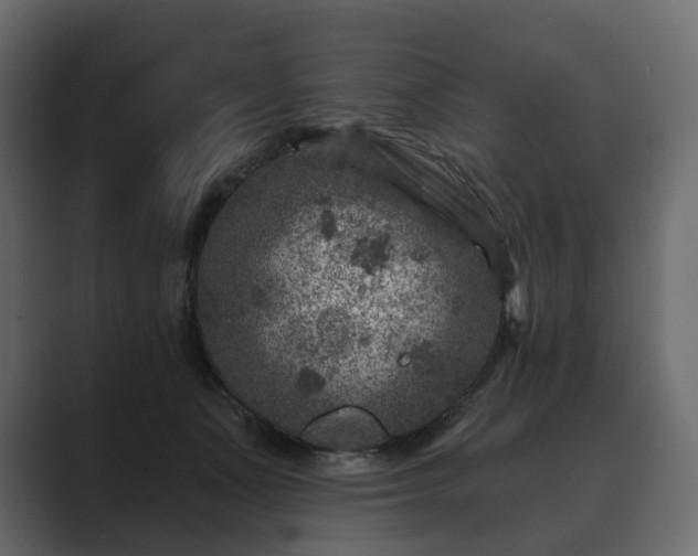 X0000089700511200706281457