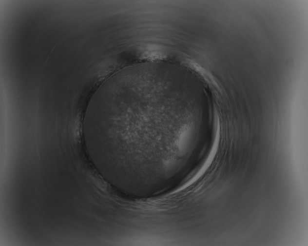 X0000089700517200706281457