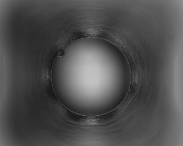 X0000089700518200706281457