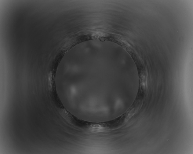 X0000089700519200706281457