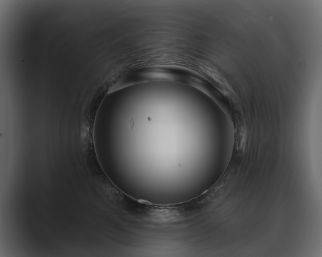 X0000089700521200706281457